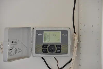 DSC_7334 (Large).JPG